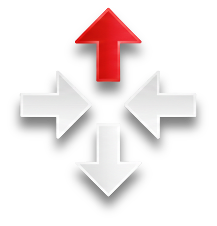 Leadership Conscient